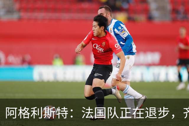 阿格利斯特：法国队正在退步，齐达内要珍惜明星球员的巅峰期